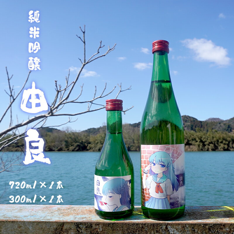 【ふるさと納税】 純米吟醸 由良 720ml×1本 300ml×1本 日本酒 2本セット 辛口 地酒 限定パッケージ 贈答 熨斗