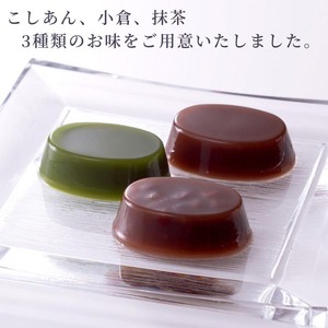 夏限定 本蕨 9個入 こしあん／小倉／抹茶 3種類＜京菓匠 鶴屋吉信＞｜本わらび わらび餅 わらびもち 和菓子 お菓子 ギフト お中元 デザート ※2025年5月下旬～8月末頃に順次発送予定