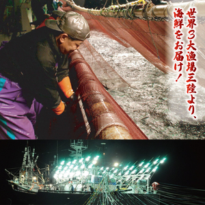 三陸の海鮮福袋 3種セット ＼ 福袋 ／