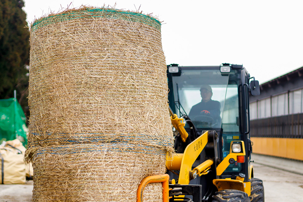 和牛なまはげ ミスジステーキ 100g 大進農場
