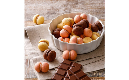 【季節限定】＜シーキューブ＞ティラミス・ファンタジスタ　S　CAS(TF)-30