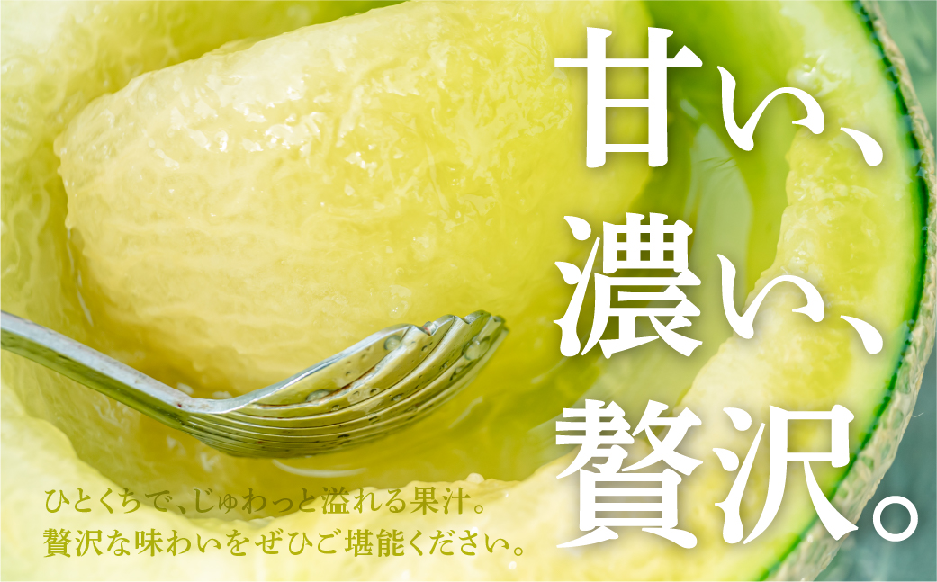 ≪先行予約≫温室マスクメロン 2玉【贈答】めろん メロン マスクメロン 果物 フルーツ デザート 旬 旬の果物 高糖度 糖度 愛知県 豊橋市