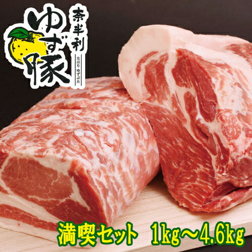 【ふるさと納税】 奈半利ゆず豚満喫セット　豚肉　ロース　肩ロース　バラスライス　モモ切落とし　ミンチ　詰め合わせ