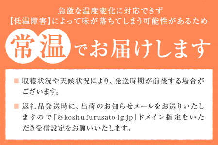 紅白桃！！農林水産大臣賞経験のある最高品質の桃を感謝を込めて朝どれでお贈りします！ 2kg（4～7玉）【2024年発送】（LMS）B15-815