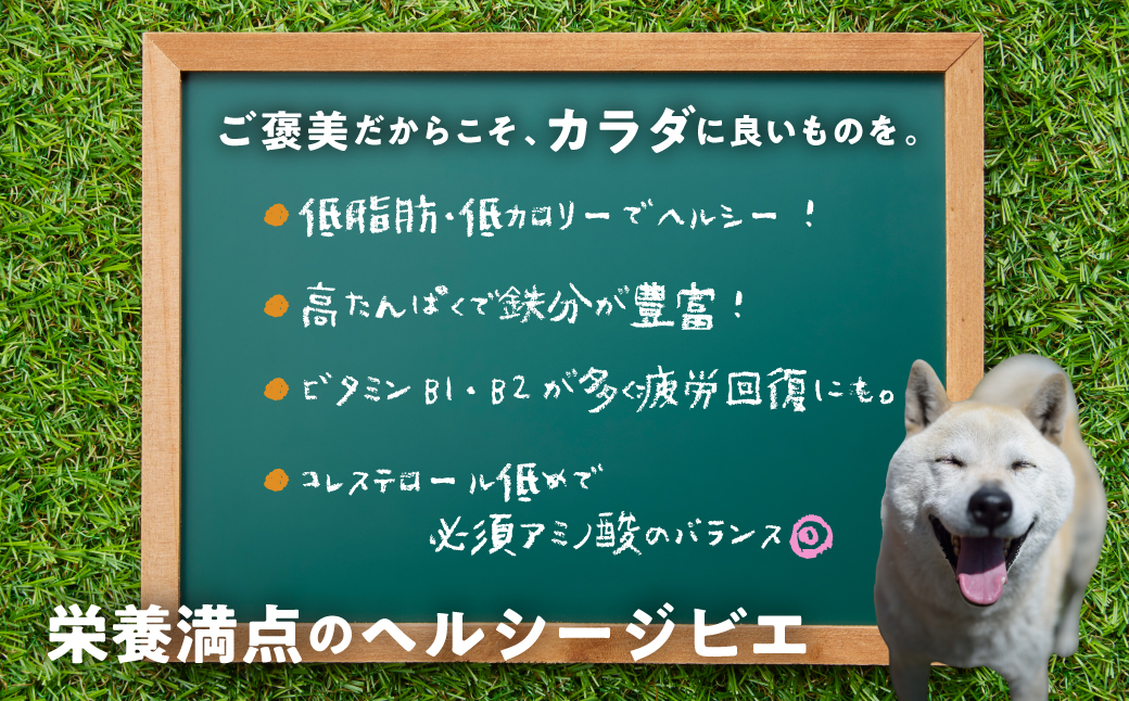 ごちそうペットフード イノシシ肉ジャーキー 100g ジビエ ジャーキー ペット 犬 愛犬 ワンちゃん わんちゃん ごはん ご飯 いのしし イノシシ 猪 ジャーキー 低カロリー たんぱく質 健康 ペッ