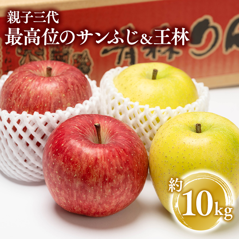 【12月発送】親子三代最高位の贈答用サンふじ・王林約10kg【全国ふじコンテスト最高賞受賞農園・平川市広船産りんご】
