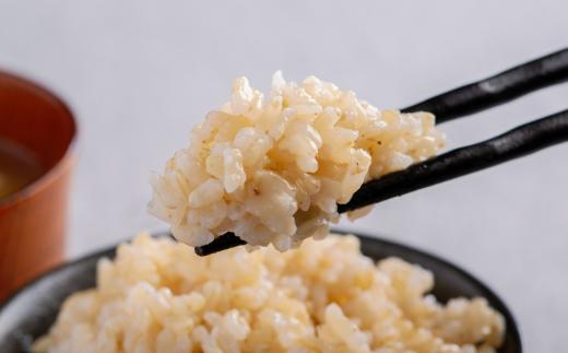【令和7年産米】ふっくりんこ5kg（玄米） HOKY005