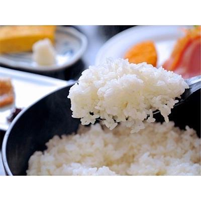 ふるさと納税 南魚沼市 生産者限定  南魚沼しおざわ産コシヒカリ　精米　計20kg(10kg×2袋) |  | 01
