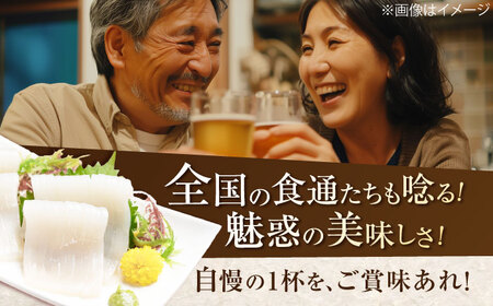 ヤリイカ お刺身用 500g 《対馬市》【海風商事】 小分け 刺身 いか イカ ヤリイカ 新鮮 海鮮 冷凍[WAD053]