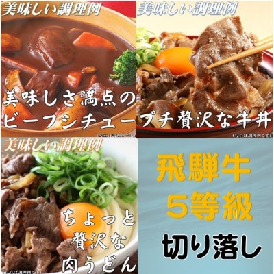 飛騨牛 5等級　切り落し　400g　養老うどん付(3人前)【配送不可地域：離島】