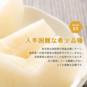 Y305 秋甘泉（秀） 5kg（3L）
