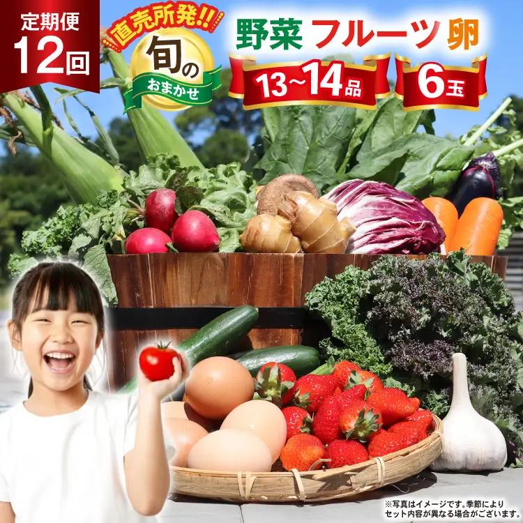 CD038 【12回定期便】 野菜 フルーツ 13～14種 卵 6玉 旬のおまかせセット [ 長崎県 島原市 ]