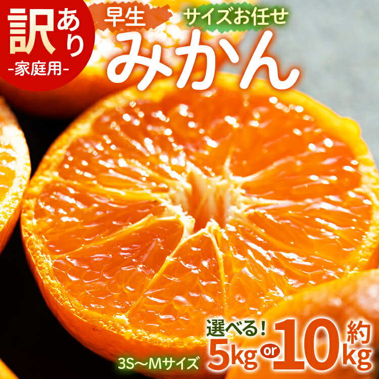 【ふるさと納税】【選べる】家庭用 訳あり 早生みかん サイズお任せ(3S～Mサイズ)（内容量：約5kg/10kg）- 訳アリ フルーツ 果物 くだもの 果実 甘い あまい 酸味 蜜柑 ミカン 柑橘 ご自宅用 旬 季節 かなや農園 合同会社Benifare 国産 特産品 高知県 香南市【常温】
