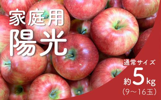 KR31-25A りんご 陽光 家庭用 約5㎏（9〜16玉） / 10月中旬頃～配送予定 // 長野県 南信州 リンゴ 林檎 ようこう 訳あり 自家用 農家直送 農家支援 産地直送
