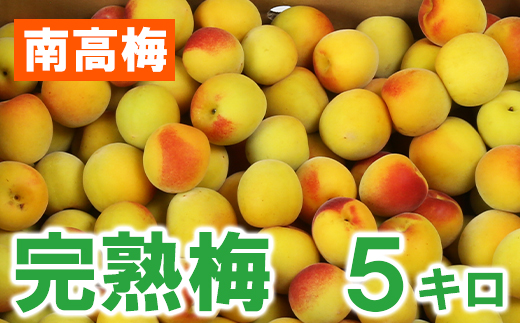 ひらそ農園の完熟梅 5kg 梅 南高梅 完熟梅 梅干し 梅酒 梅干 梅シロップ 梅ジャム 5キロ 数量限定 先行予約 6月 ＜004-009＞