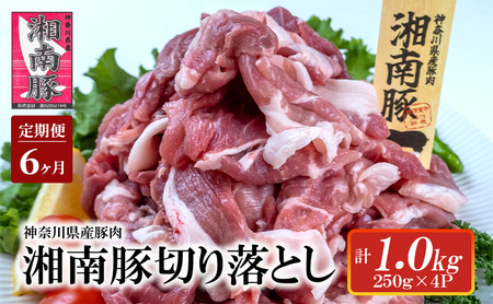 【6ヵ月定期便】湘南豚 切り落し 1.0kg 小分け 250g × 4P 6か月 冷凍 豚 ぶたにく ぶた肉 Pork 豚肉 ブランド豚 切り落とし 国産 神奈川県産 定期便 肉 にく ポーク 冷凍  藤沢市 神奈川 湘南 藤沢