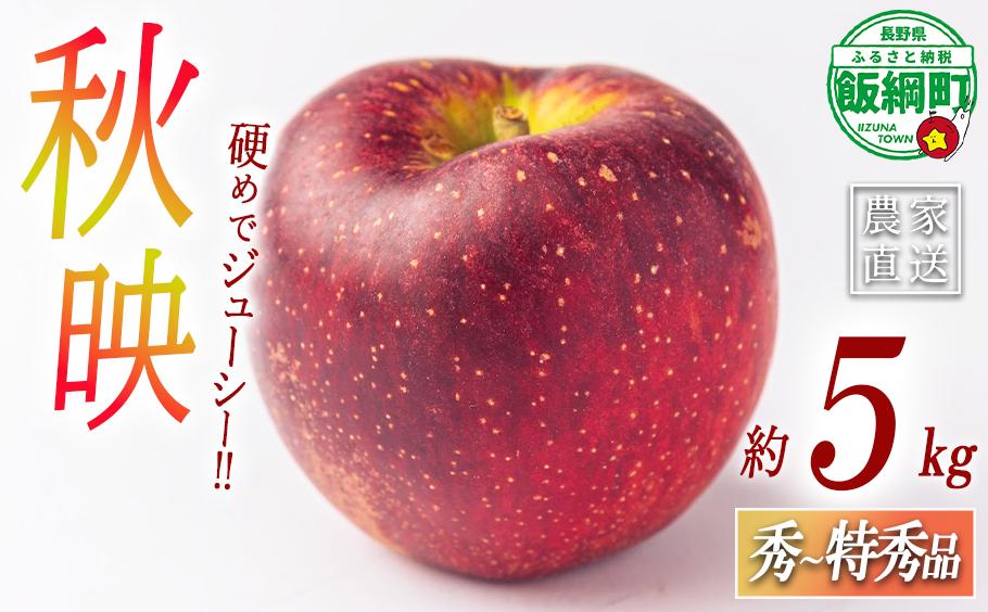 
                  りんご 秋映 あきばえ 秀 ～ 特秀 5kg ( 12 ～ 16玉 ) サイズおまかせ 関果樹園もりんご 沖縄県への配送不可 2026年9月下旬頃から2026年10月中旬頃まで順次発送予定 令和8年度収穫分 減農薬栽培 ネオニコチノイド系農薬不使用 信州 果物 フルーツ リンゴ 林檎 アキバエ 長野 予約 農家直送 長野県 飯綱町 [2084]
                