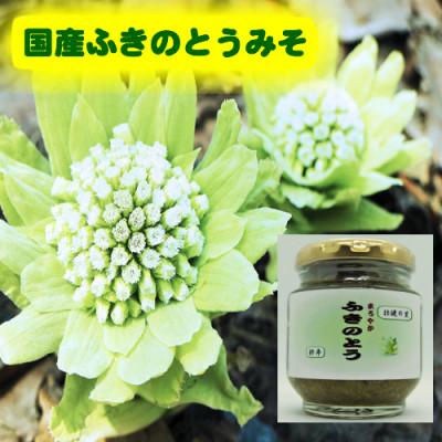 ふるさと納税 北杜市 ふきのとうみそ 国産無添加 125g×5本