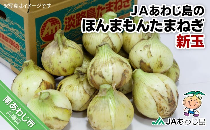 
                  【量が選べる！新玉予約！】ＪＡあわじ島のほんまもんたまねぎ 新玉ねぎ早生種
                