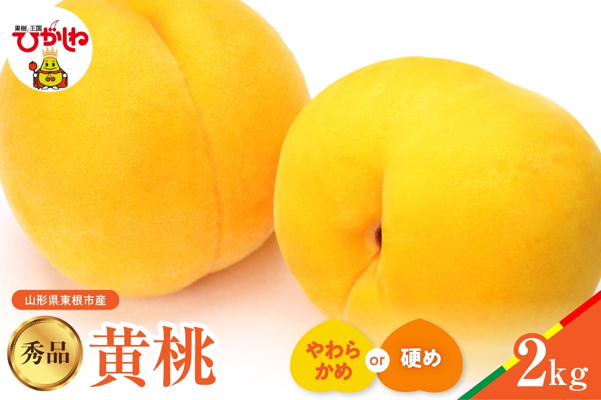 
            ≪選べる硬さ≫2026年産 黄桃 品種おまかせ 秀品2kg(硬めorやわらかめ) 松栗提供 山形県 東根市 hi062-061-o
          