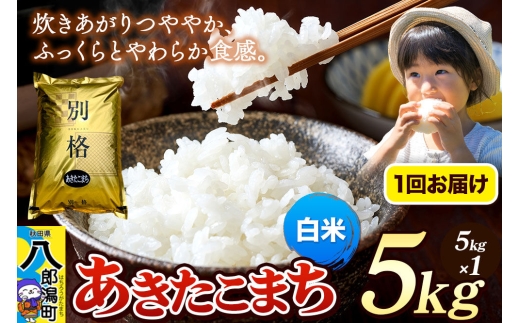 《令和8年産 新米》米 あきたこまち 5kg【白米】秋田県産 [新米 米 コメ 白米 あきたこまち おいしい 美味しい 安全 自然の恵み]