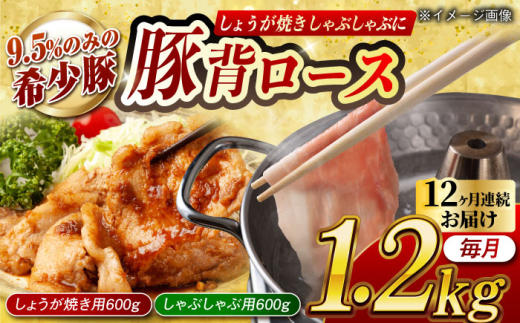 【月1回約1.2kg×12回定期便】大西海SPF豚 背ロース しょうが焼き用＆しゃぶしゃぶ用 計約14.4kg 長崎県/長崎県農協直販 [42ZZAA087]