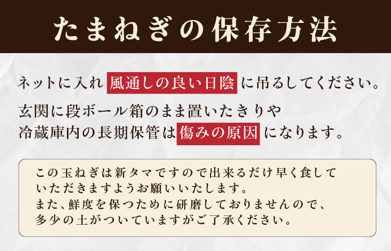 射手矢さんちの泉州プレミアムたまねぎ 20kg 【玉ねぎ タマネギ 玉葱 甘い 野菜 国産 期間限定 オニオン スライス サラダ カレー シチュー バーベキュー BBQ 肉じゃが】 G1320