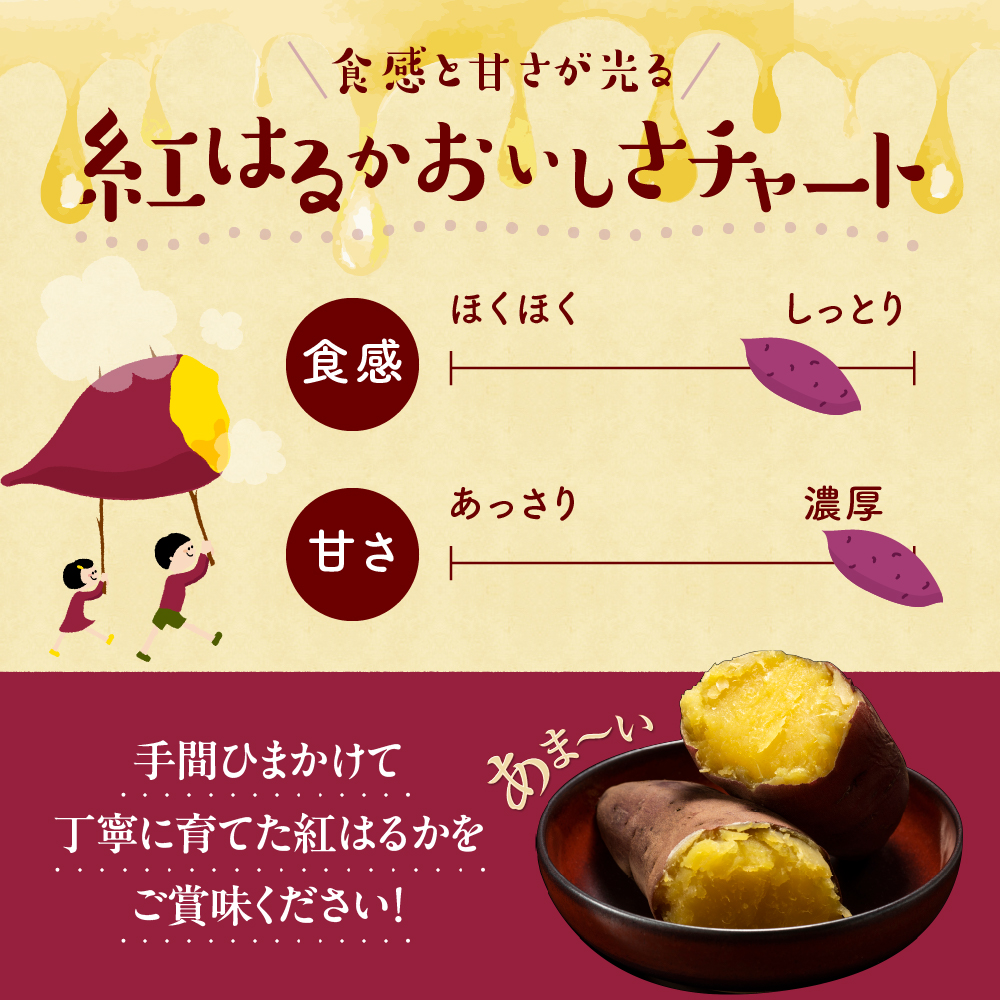 【先行受付】【12月上旬より発送】北海道十勝芽室町 なまら十勝野 芽室町産さつまいも【紅はるか】５㎏　me001-029c
