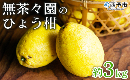 先行予約 ＜無茶々園のひょう柑 約3kg＞ 果物 みかん ミカン 蜜柑 柑橘 フルーツ ひょうかん 弓削瓢柑 特産品 愛媛県 西予市【常温】『2026年4月～5月上旬迄に順次出荷予定』AMC0009