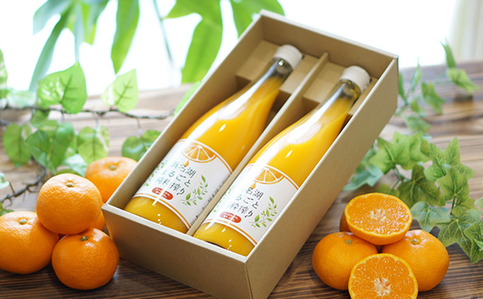 三ヶ日みかんジュース「浜名湖まるごと純粋搾り」720ml 2本【静岡 三ヶ日 みかん ジュース】