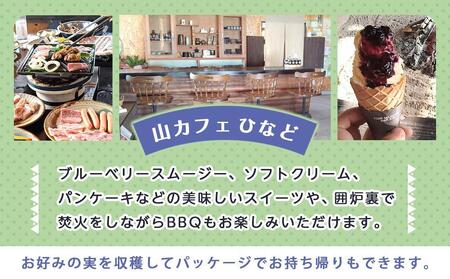 【湯布院 熊谷牧場・雛戸】施設内なんでも使える！ブルーベリー・キャンプガーデン ご利用補助券 6,000円分