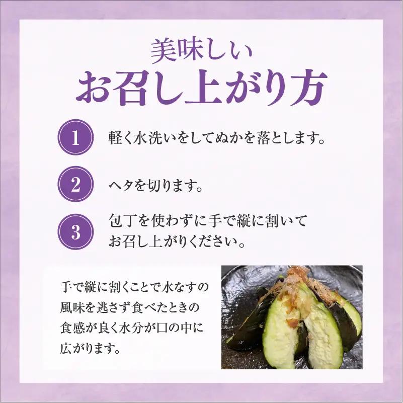 特選 無添加 水なす漬け 徳用水ナス セット