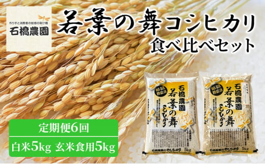 米 若葉の舞 コシヒカリ 白米5Kg玄米食用5Kg 食べ比べセット 定期便6回 こしひかり お米 白米 玄米 セット 食べ比べ 定期便 精米 千葉 千葉県 低温保存 [№5346-0805]