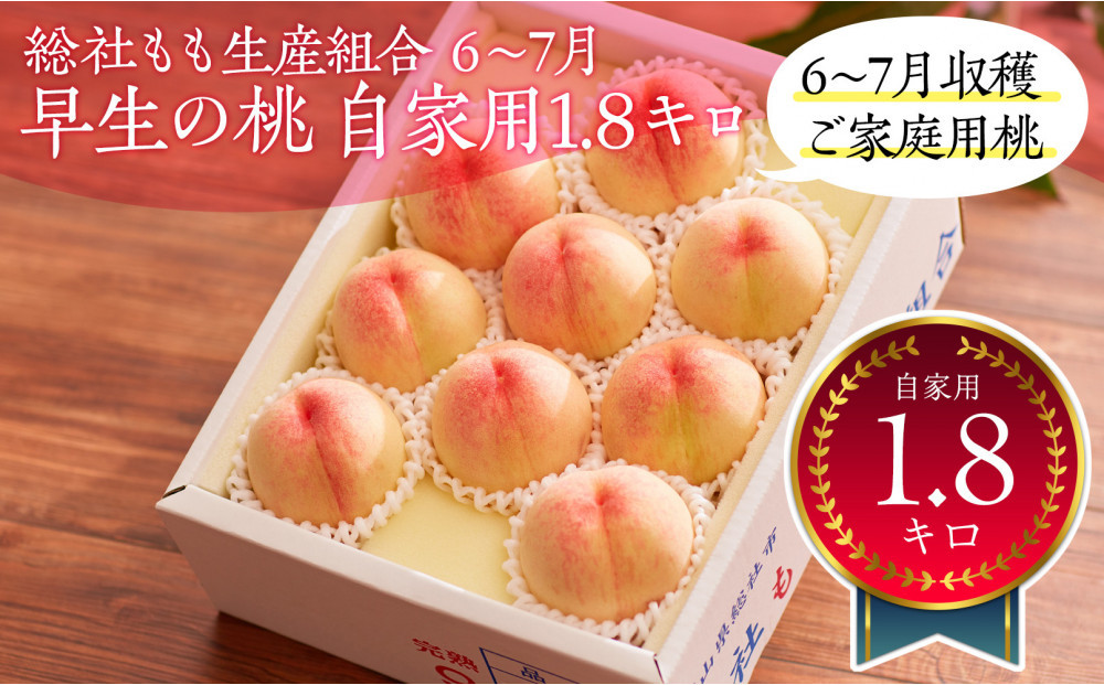 総社もも生産組合　6月-7月早生の桃　自家用1.8kg【6月下以降発送】
