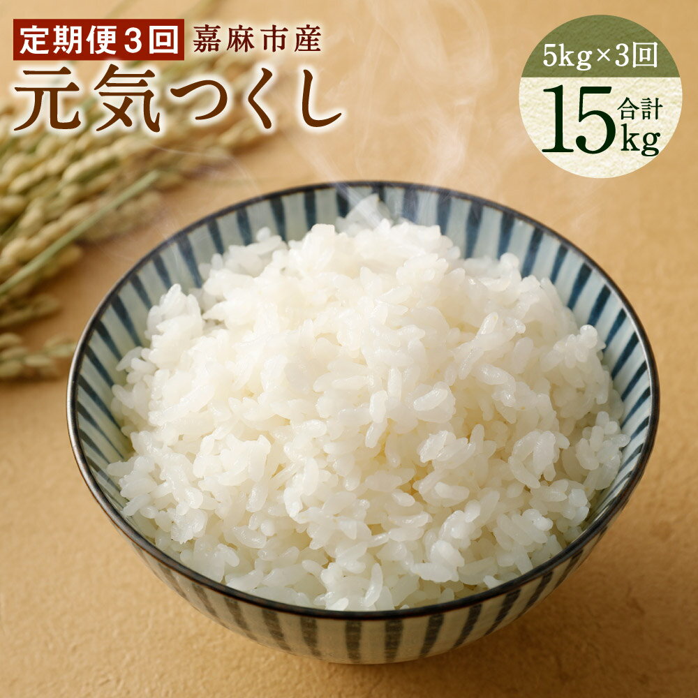 【ふるさと納税】【令和7年産】【3ヶ月定期便】嘉麻市産 元気つくし 合計15kg (5kg×3回) お米 白米 精米 単一原料米 福岡県産 九州産 送料無料 【2025年11月上旬から順次発送予定】