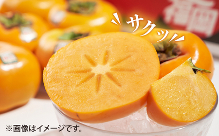【ふるさと納税】【10月中旬より発送】福岡産ブランド柿 秋王 約3kg（8-12玉）＜南国フルーツ株式会社＞那珂川市 柿 秋王 ブランド フルーツ 果物 九州産 国産 30000 30000円 [GC