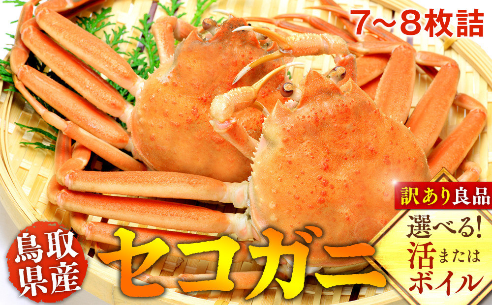 【活】鳥取県産セコガニ　訳あり　良品7~8枚詰《かに カニ 蟹 セコガニ》※2025/11/6～2025/12/25に順次発送予定※着日指定不可  離島不可（北海道、沖縄本島は配送可能）