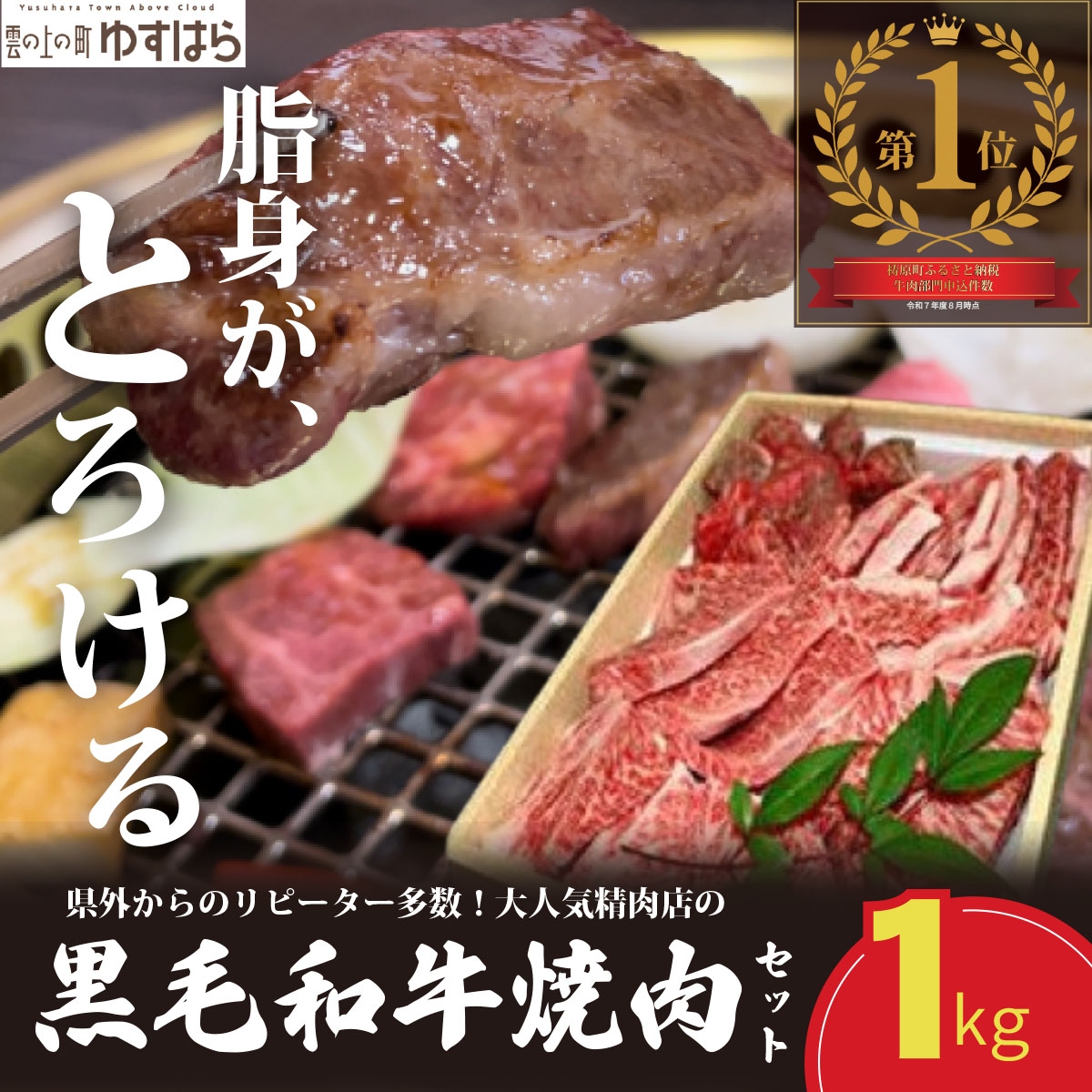 
            低温でも脂身がとろける梼原町産黒毛和牛 丸かじり焼肉セット（500g）【GA01】牛肉 焼肉 焼き肉 やきにく 国産 高知県産 冷凍便
          