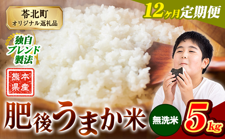 【12ヶ月定期便】米 熊本県産 肥後うまか米 5kg 熊本県産 ふるさと納税 無洗米 精米 こめ ふるさとのうぜい コメ お米 おこめ ブレンド米《お申込み翌月から出荷》---reihoku_loc_486_mo12---