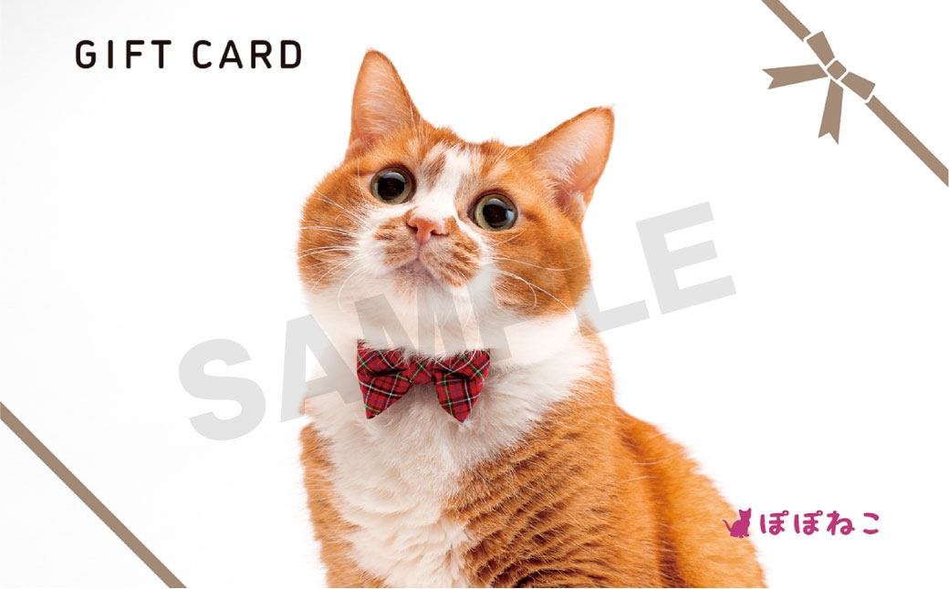 ぽぽねこ ギフト券 9,000円分（封筒タイプ）