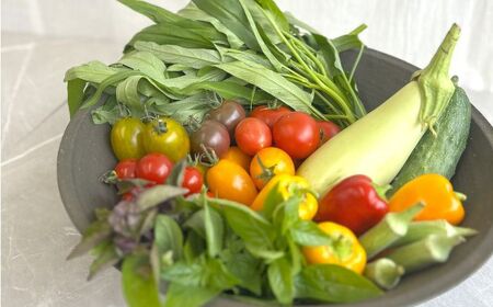 季節の有機野菜セット2～3人分  [AXBV007] 北海道 旬 詰め合わせ