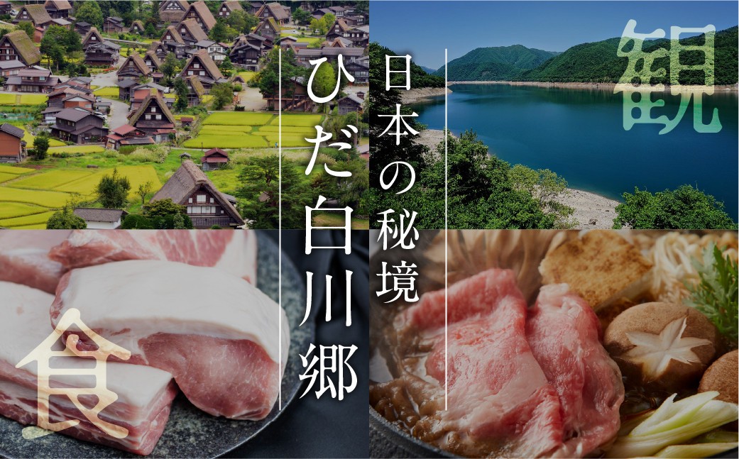 ＼あとから選べる ／オンラインカタログ あとからチョイス 2万円 20000円 有効期限なし 後から選べる S531 肉 牛肉 豚 すき焼き 焼肉 宿泊 観光 旅行 休日 旅 温泉 飛騨 飛騨牛 酒 
