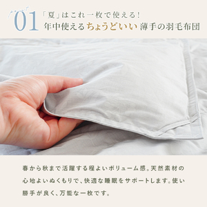 羽毛 掛け布団 色(ベージュ) ダウン90% 0.25kg入り エコテックス認証 羽毛肌 掛け布団 シングル ロング