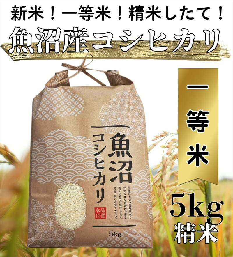 【ふるさと納税】【令和7年度産】魚沼産コシヒカリ 精米 5kg 一等米 100％単一原料米 お米 コメ こしひかり 新潟県 魚沼市 魚沼　お届け：寄附入金確認後、随時発送