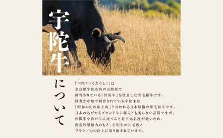 定期便 １２ヶ月 宇陀牛 黒毛 和牛 特上 ロース すき焼き 約 250g 冷蔵 月１回 ／ 山繁 ふるさと納税 新鮮 牛 肉 名牛 肉通 マニア チルド 幻 極上 良質 生肉 奈良県 宇陀市 菟田野