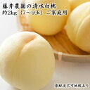 【ふるさと納税】ご家庭用 清水 白桃 約2kg（7～9玉） 藤井農園 岡山 桃 もも 果物 フルーツ 2024年 先行予約　果物・もも・桃・フルーツ・果物類　お届け：2024年7月中旬～2024年8月上旬