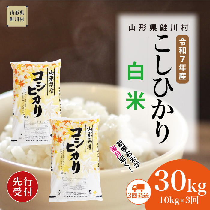 ＜令和7年産米先行受付＞ 鮭川村産 こしひかり 【白米】30kg定期便 (10kg×3回)　配送時期指定できます！