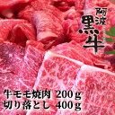 【ふるさと納税】黒毛牛 阿波黒牛 牛モモ焼肉＆切り落とし 600g ｜ 赤身 国産 ブランド 牛肉 冷凍 お肉 グルメ ギフト カット 小分け 国産牛 ブランド牛 交雑種