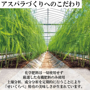 アスパラガス Mサイズ 3kg 2025年 3月から9月末まで発送 せいくらべ アスパラ 季節 春 野菜 新鮮 旬 煮物 炒め物 漬物 鍋 味噌汁 家庭用 弁当 惣菜 おかず 健康 栄養 Anto F