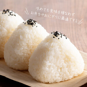 【令和7年産】宮崎県産米　村井農園産ミルキークイーン（精米）5kg 【 米 お米 白米 精米 ミルキークイーン 国産 宮崎県産 おにぎり 】